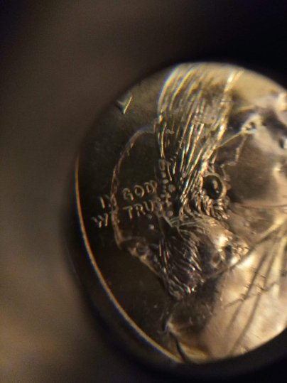 2000-Sacagawea-Struck-Through-Debris?
